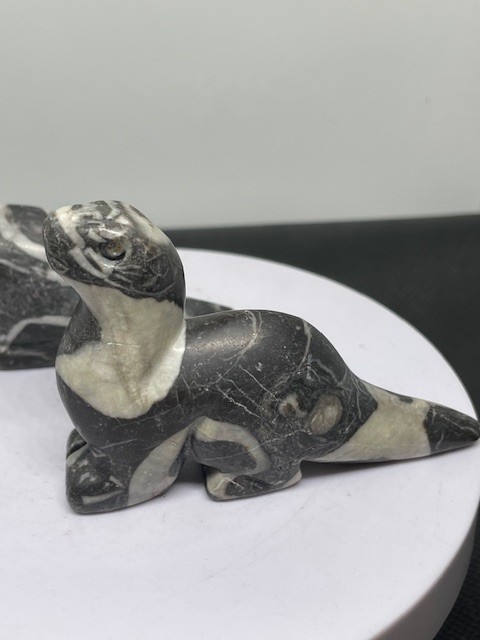 Othoceras Carved Dinos