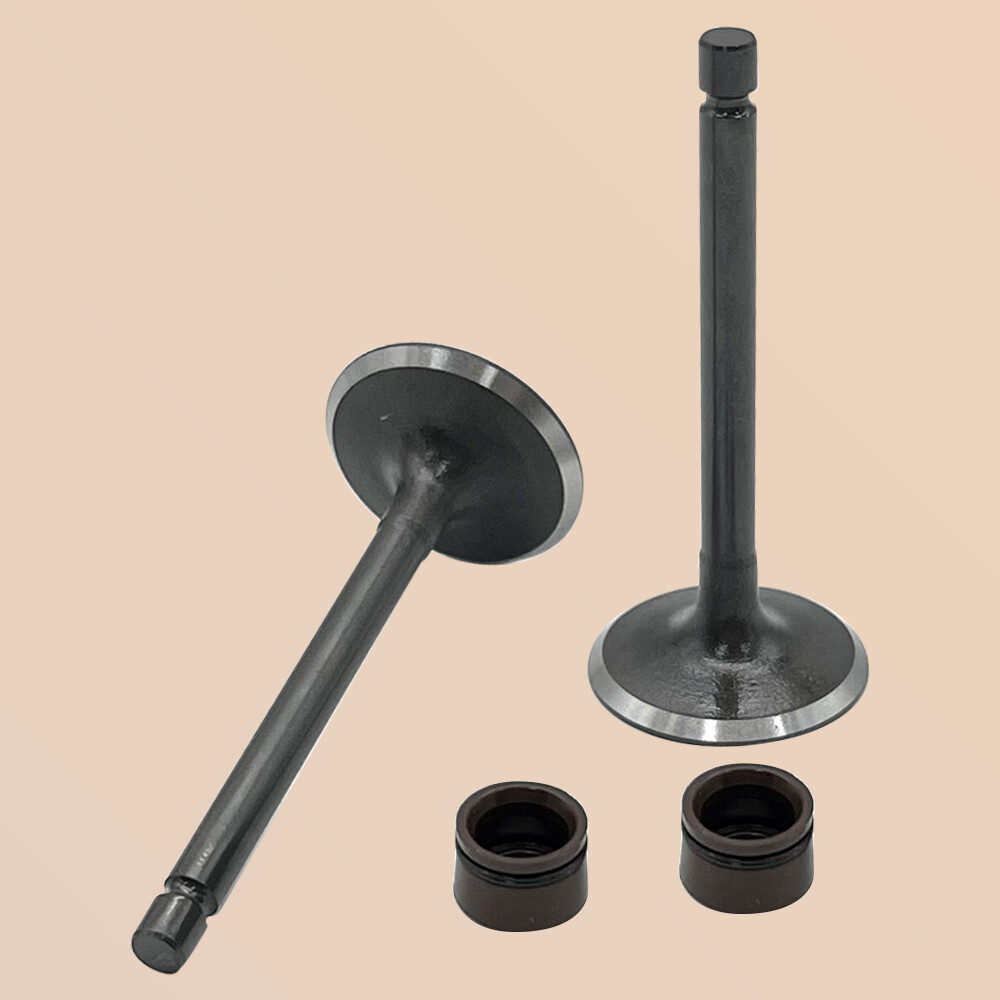 Engine Intake & Exhaust Valves for Yamaha TTR125 TTR125E TTR125EL 2000-2018