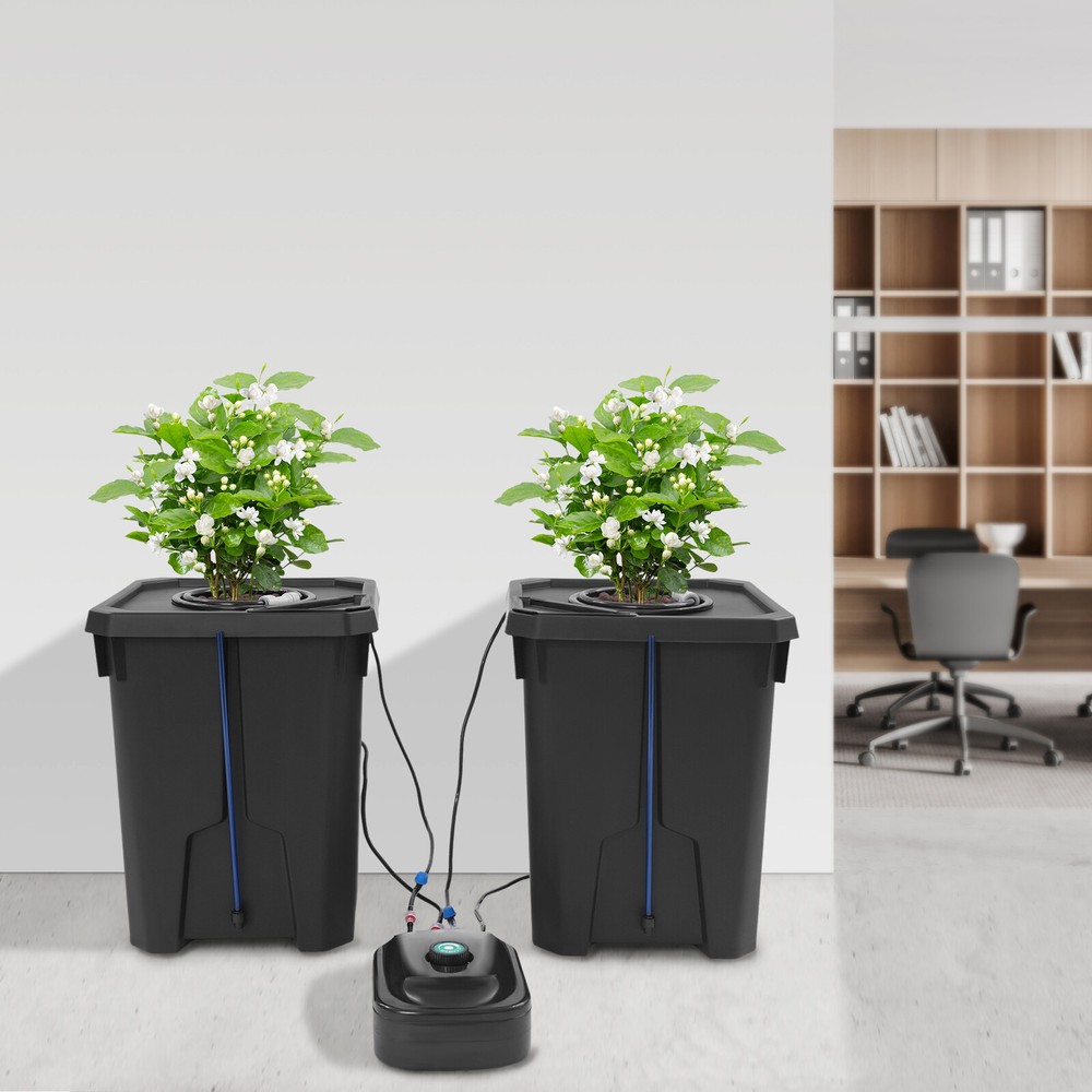 Hydroponics Growing System, Culture Bucket System, Recirculating Drip Garden Sys