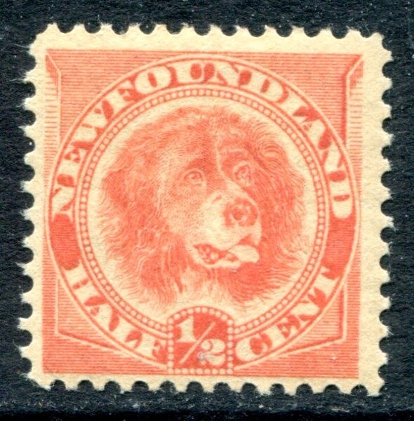 Newfoundland 1896 Unused #57