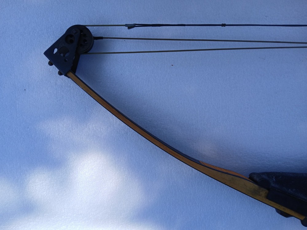 Darton Trailmaster Compound Bow