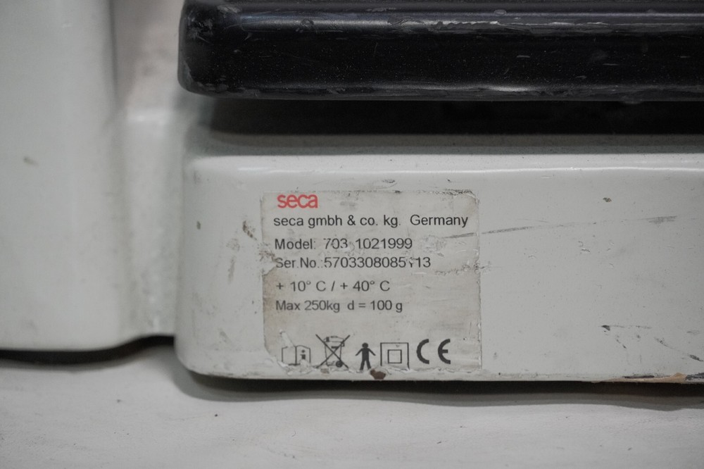 seca 703 1021999 column scale, max 250kg, d = 100 g