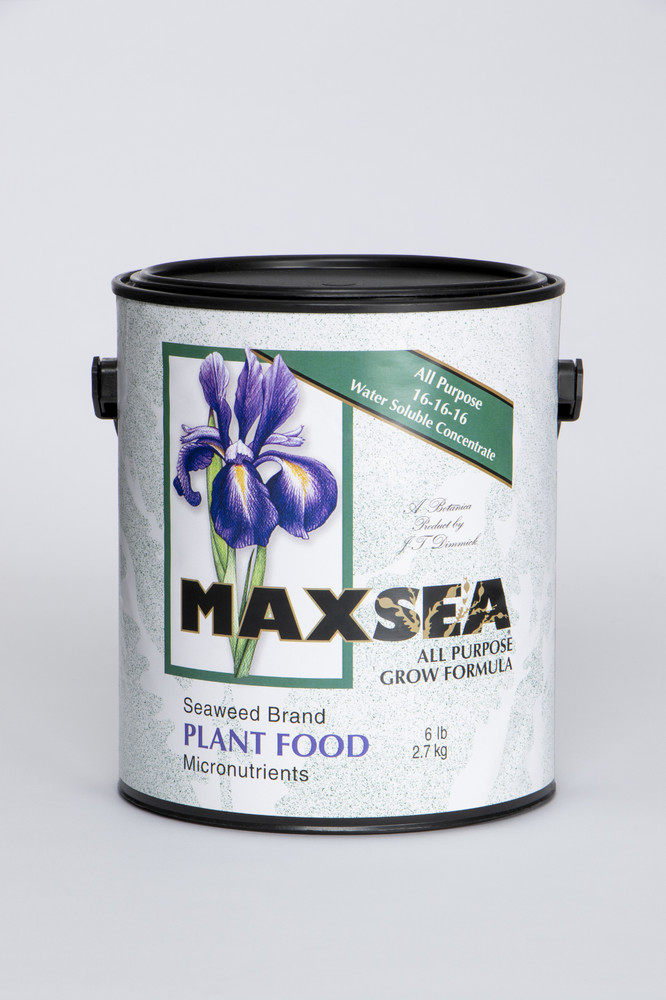 Maxsea All Purpose 16-16-16 6#