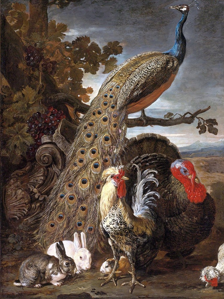 PEACOCK TURKEY RABBIT rooster D. de Coninck Tile Mural Backsplash Marble Ceramic