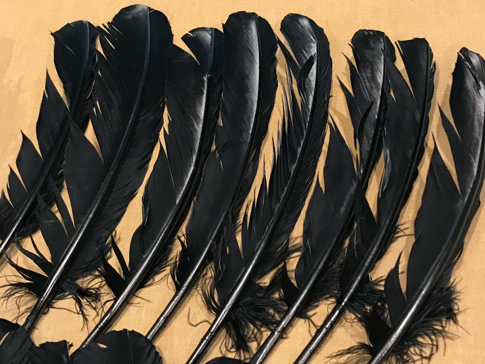 Dyed Black Turkey Feathers, 1/2 Pound, #2 Quality