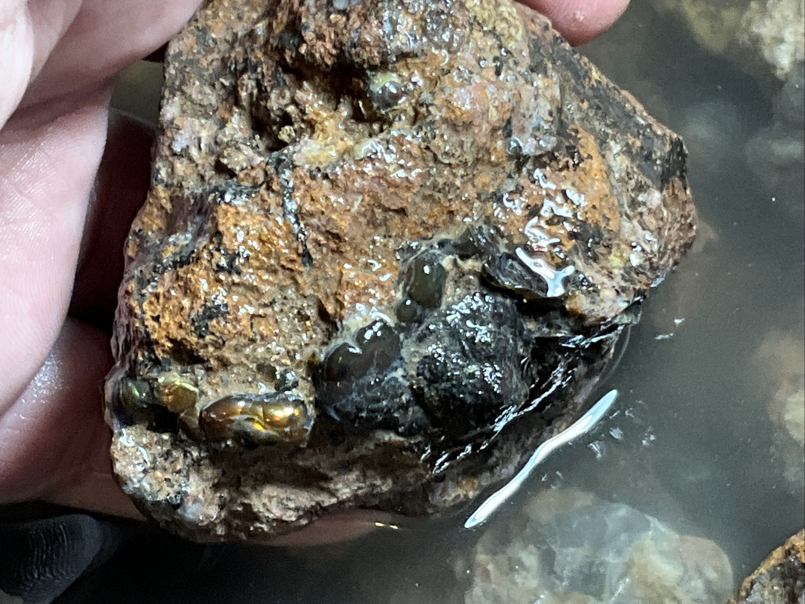 1/4 Pound Fire Agate Choice & Mid Grade Professionally Chosen Colorful Rough Lot