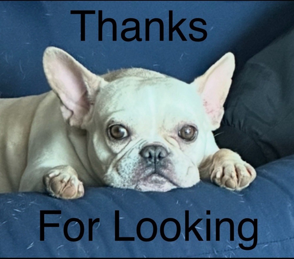 FIGHTING HELLFISH THE SIMPSONS 3x3 Embroidered Morale Patch Hook Backing New