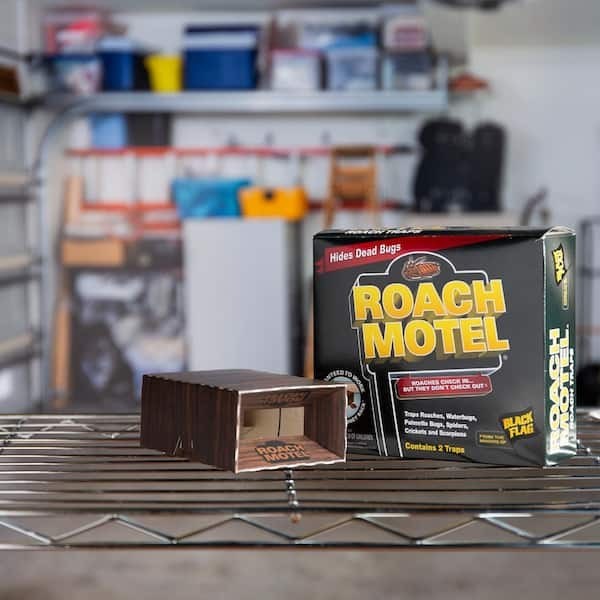 Black Flag Roach Motel Insect Glue Traps (2-Pack)