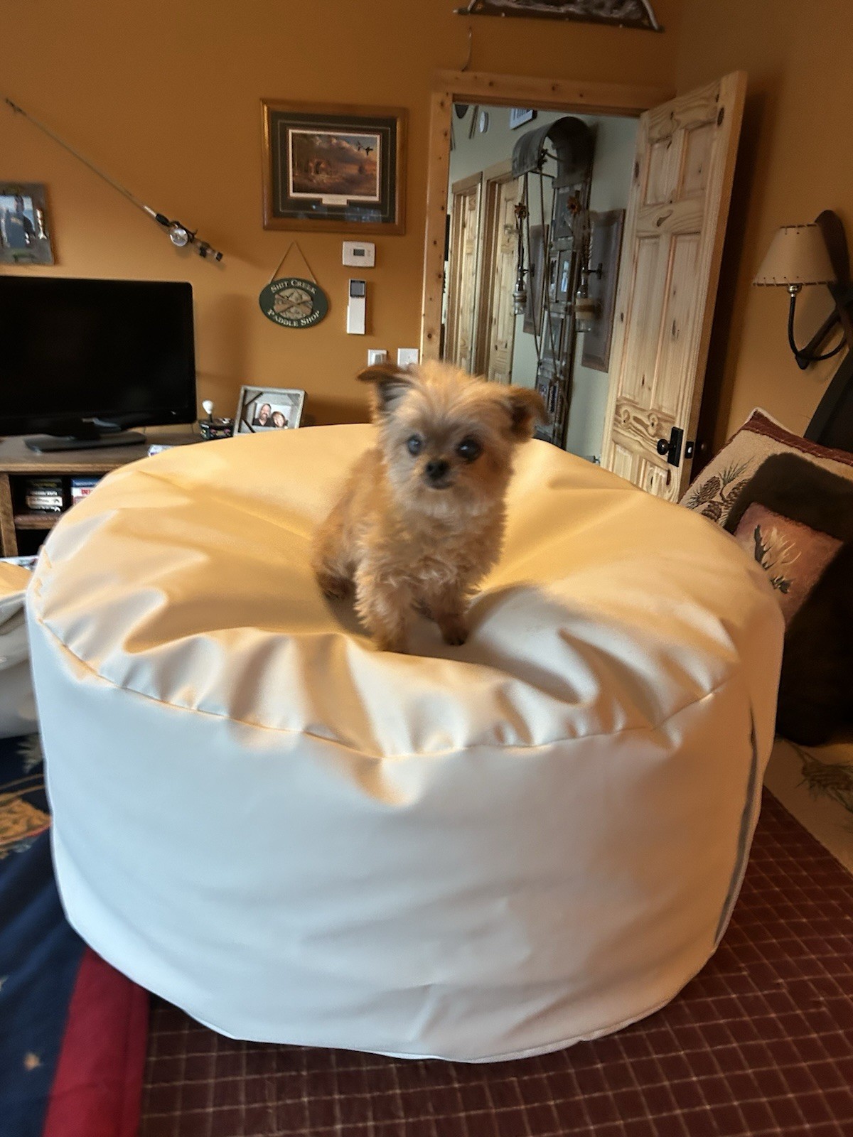 Infant Photography Props and Supplies - FREE SHIPPING