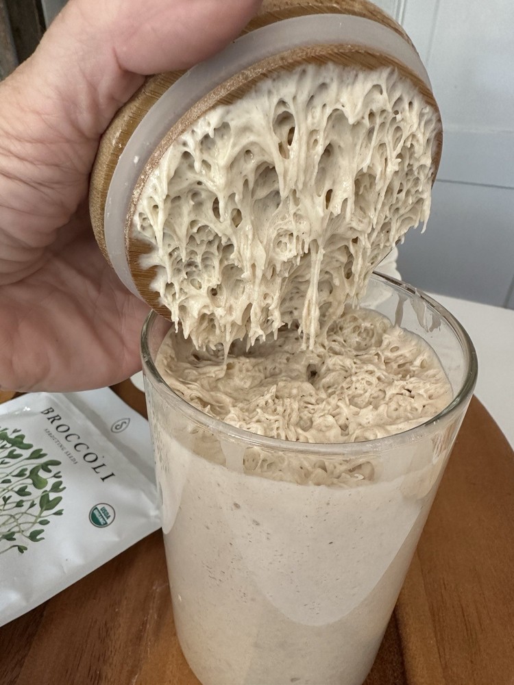Sourdough Starter 20grams Dehydrated Strong