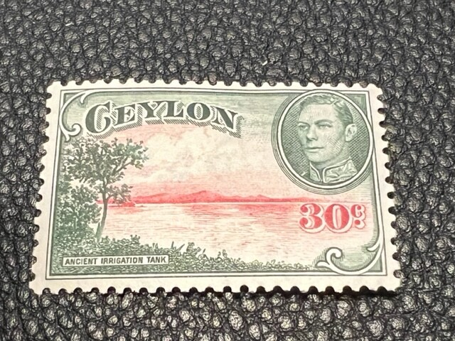 Ceylon 285 MH