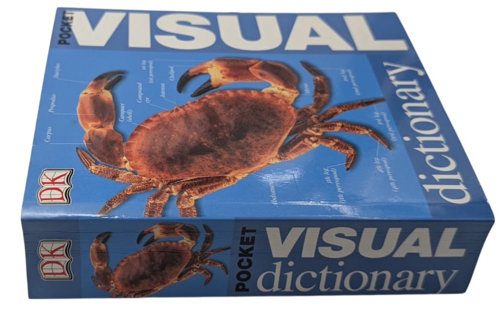 Pocket Visual Dictionary DK 2003 Art Encyclopedias Reference Illustrated Guide