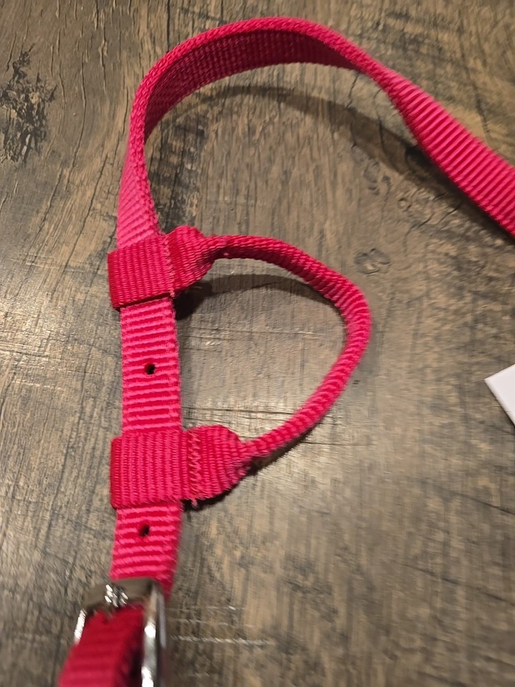 western headstall