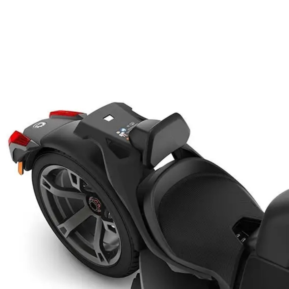 Can-Am OEM 1Up Driver Backrest, 219400960