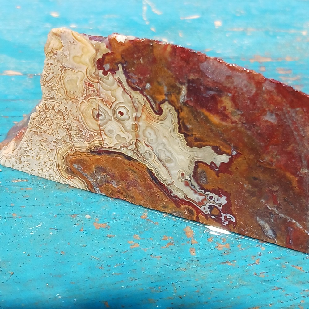 Lapidary Moss Agatey SLICE Ready To Dice