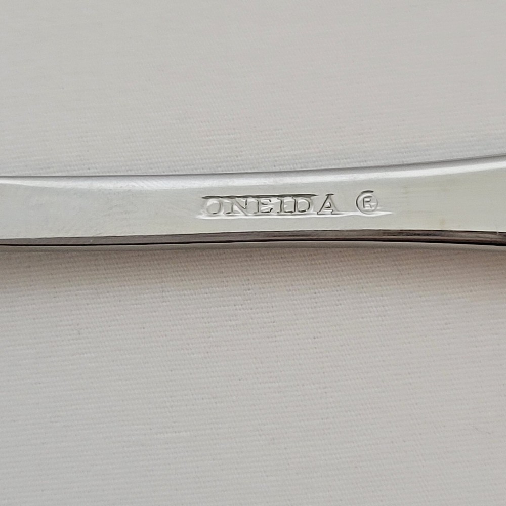 Oneida Joanne 5 Piece Place Setting Stainless Satin Glossy Handle Flatware