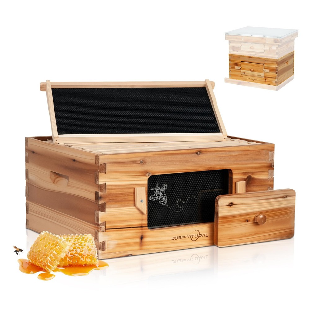 Bee Hive 10 Frame Deep Bee Box with Frames and Foundation, Beeswax Coated Lan...