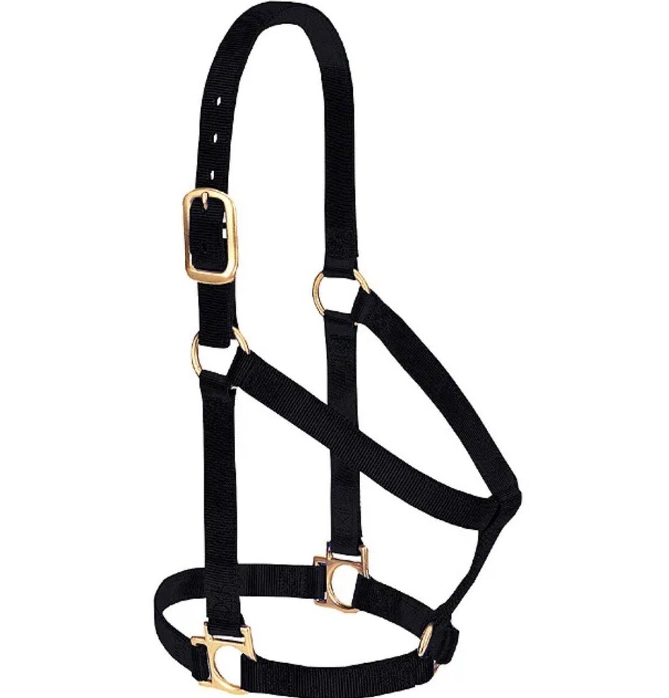 WEAVER Nylon BLACK Basic Non-adjustable Horse Halter 1" Average Weanling Draft
