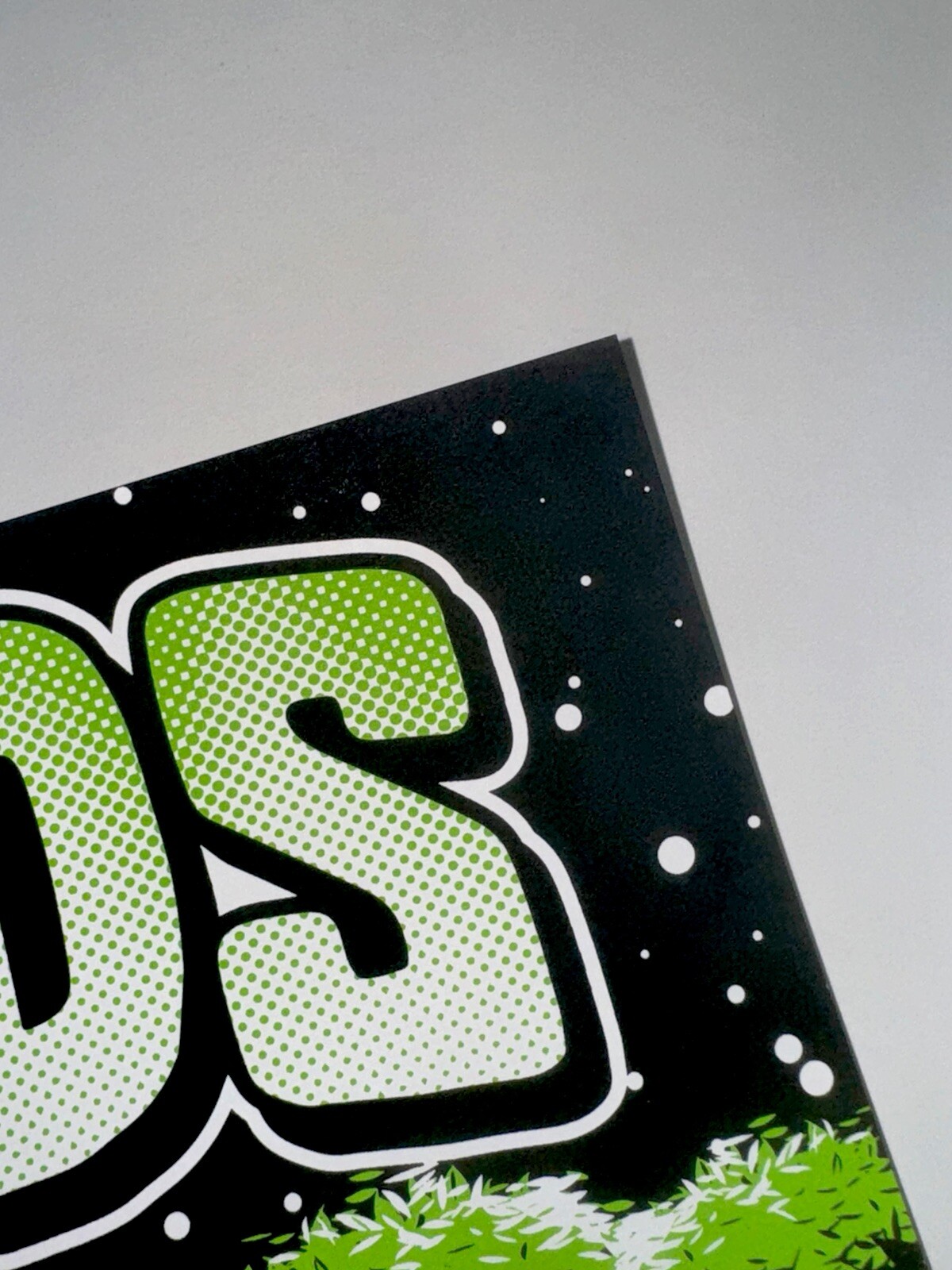 Dirty Heads Poster Holmdel NJ 2024 Official Silkscreen Low Run S/N Schuyler