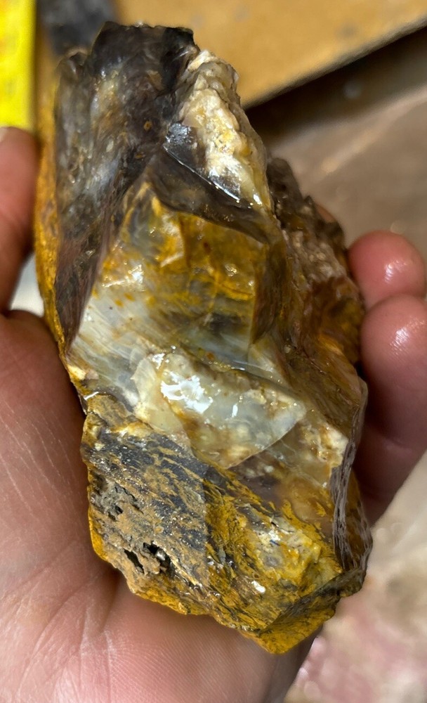 Silver Creek Junction petrified wood
