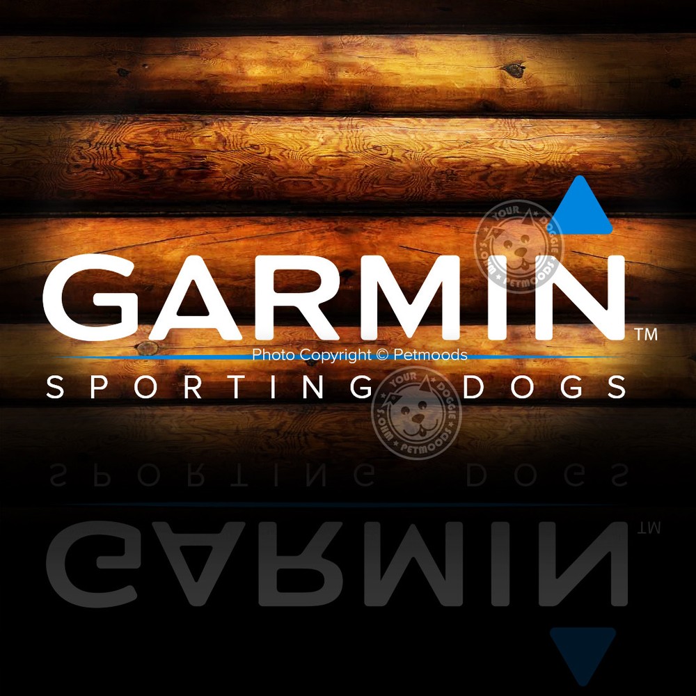 Garmin Replacement VHF Antenna Astro DC 40 Dog Tracking Collar