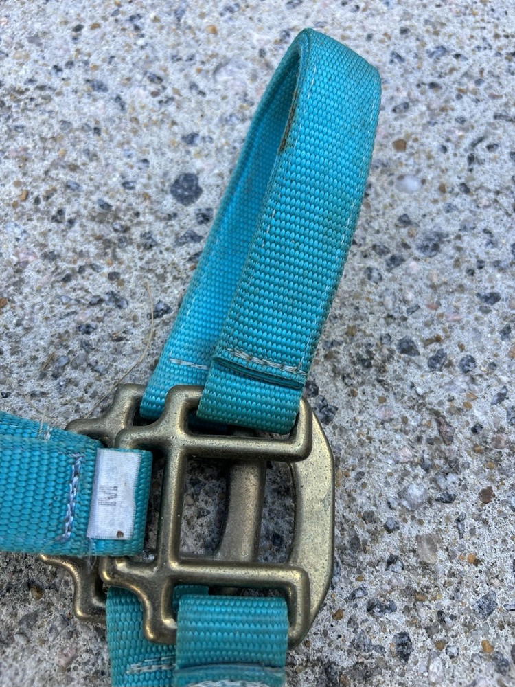 USED - Teal Blue Size Medium Horse Halter