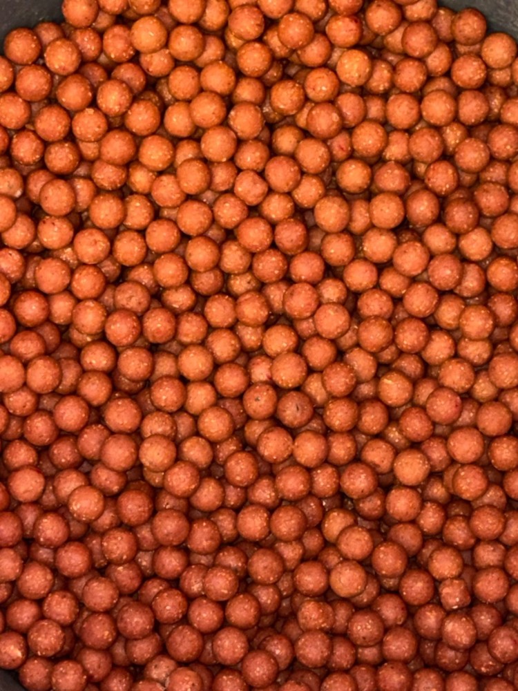 Kingybaits Squidberry 5kg bundle.