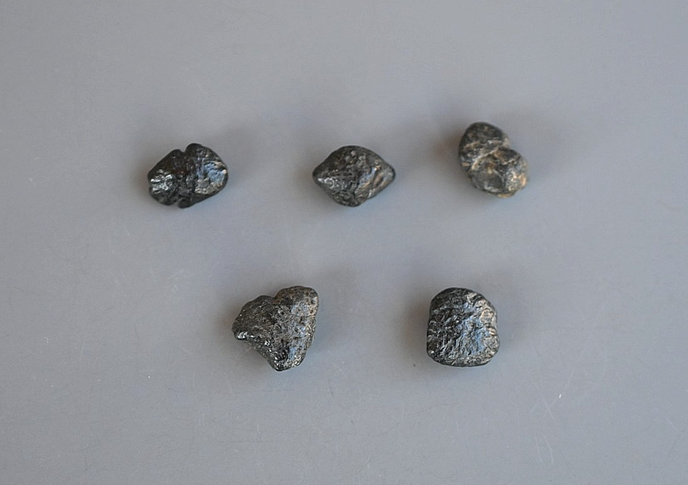 5 Fossil Ground Sloth Dermal Ossicles