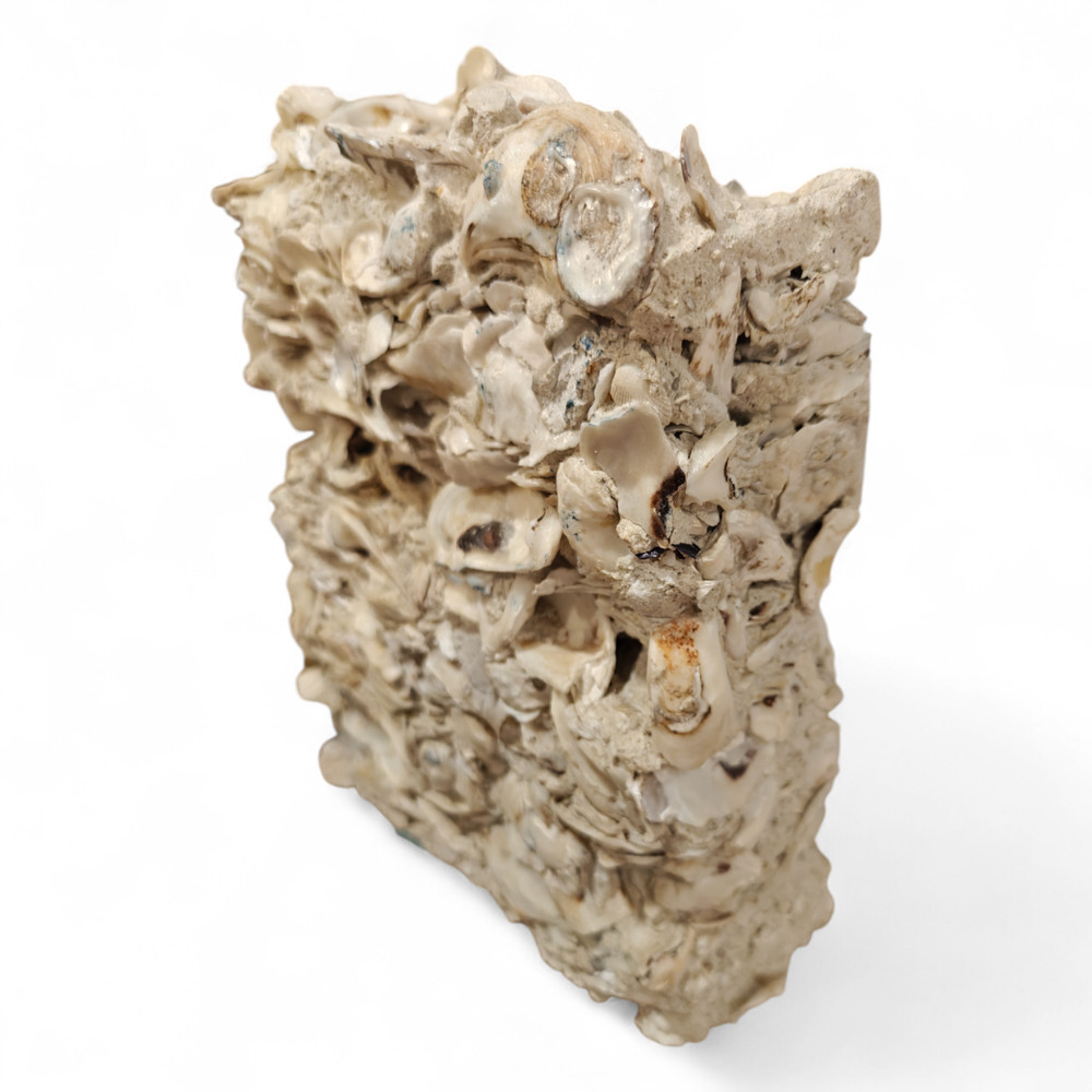 Tabby Concrete Block Sample – Authentic Oyster Shell Construction Display