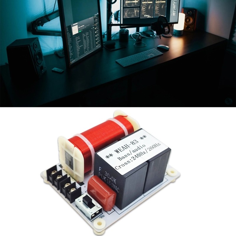 Speaker Frequency Divider Module Pure Bass Hi-Fi Crossover Filter
