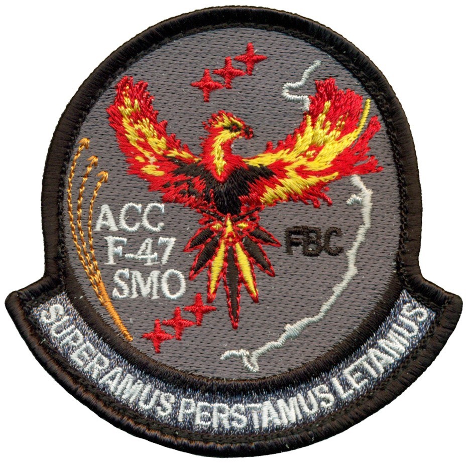 USAF AIR COMBAT COMMAND F-47 SYSTEMS MANAGEMENT OFFICE PATCH