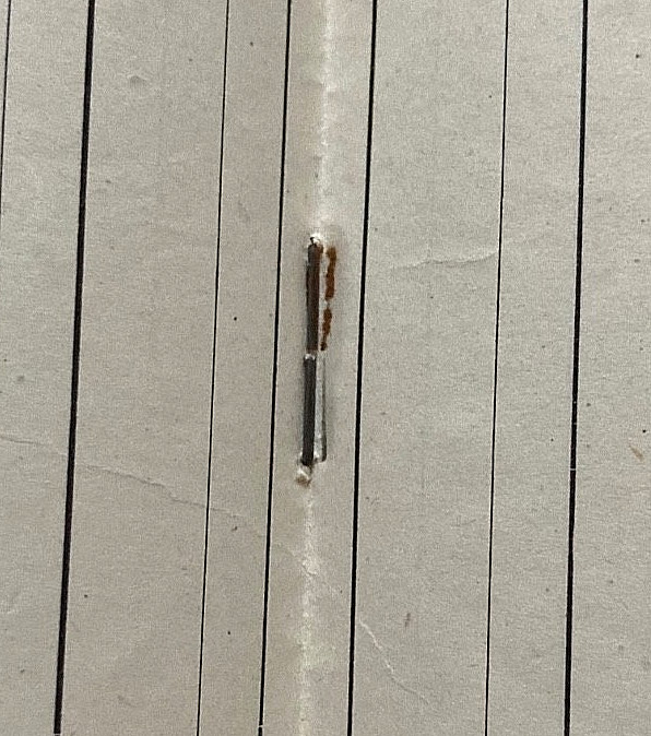 WW2 GERMAN PROTECTION SQUADRON + SECURITY SERVICE of DUTCH OCC. TERR. FORM 1944