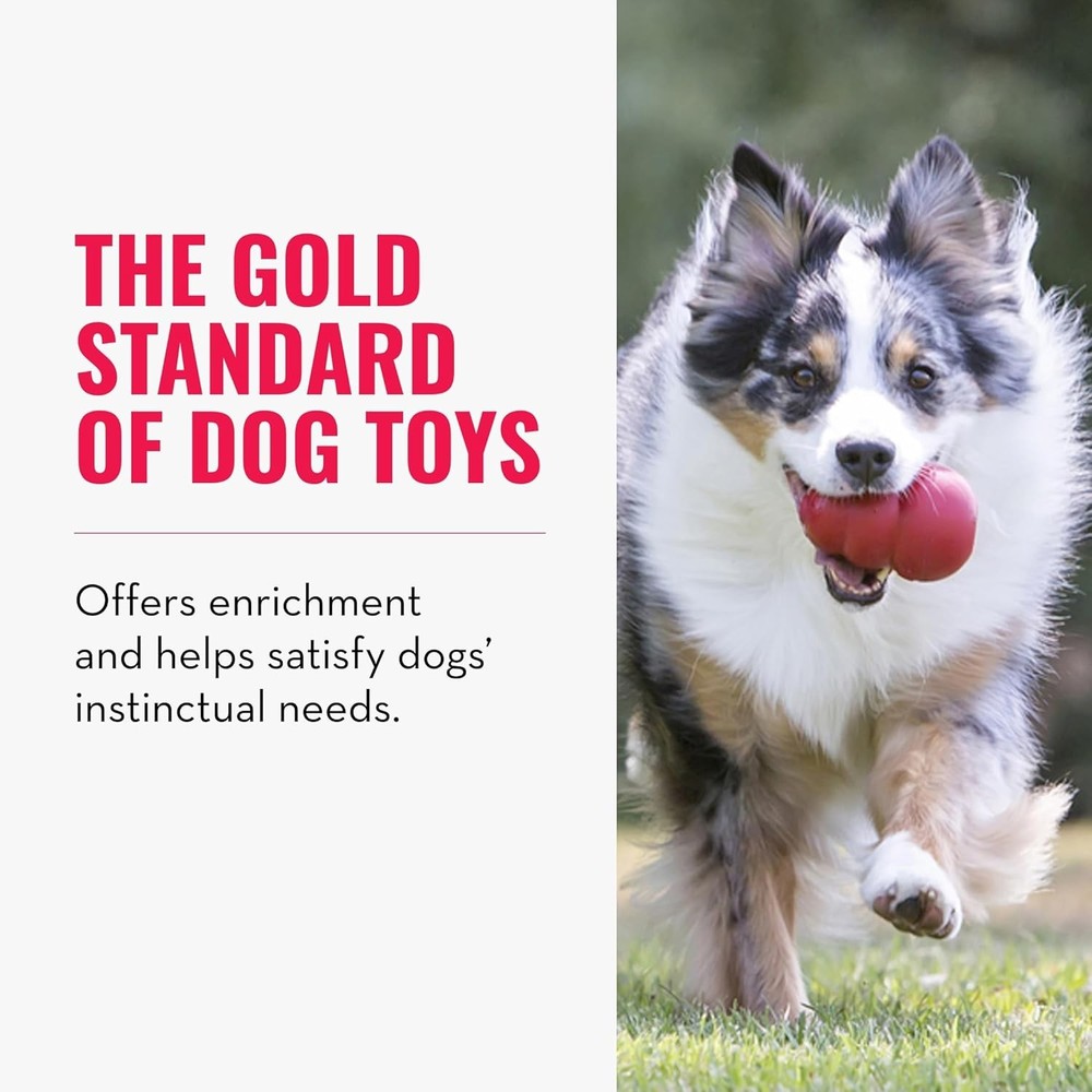 Stuffable Bouncing Durable Red Rubber Small Breed Dog Fetch Toy