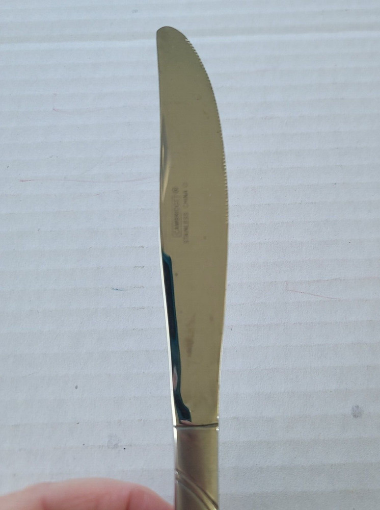 Cambridge Felicity Modern Solid Knife Frosted Glossy Curve Flatware