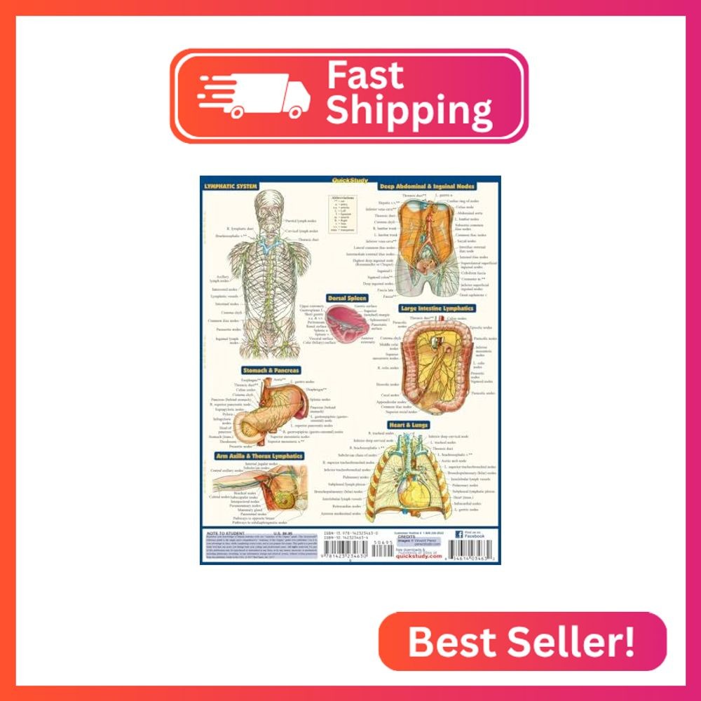 Anatomy of the Organs: QuickStudy Laminated Reference Guide (Quick Study Academi