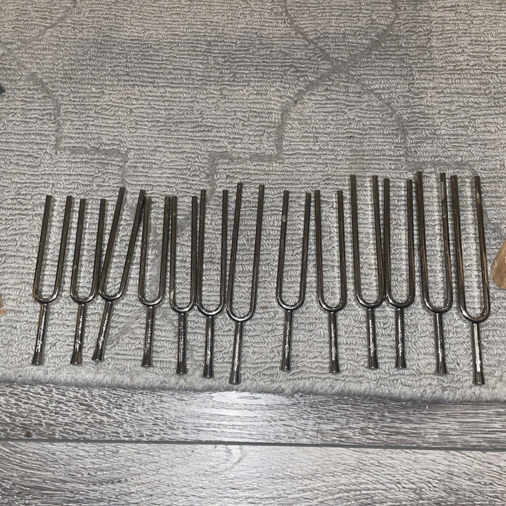 Tunning Fork Lot Germany