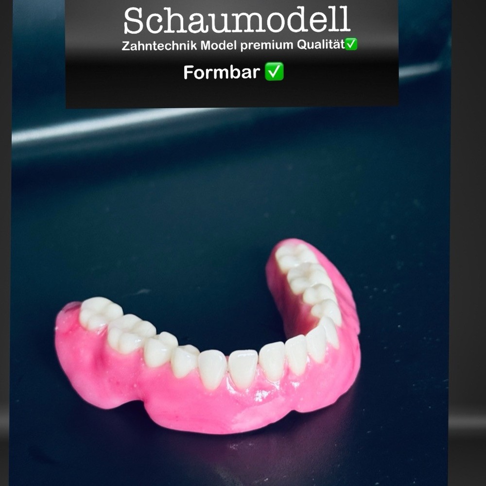 Foam model, teaching model prostheses model dental technology model, tooth