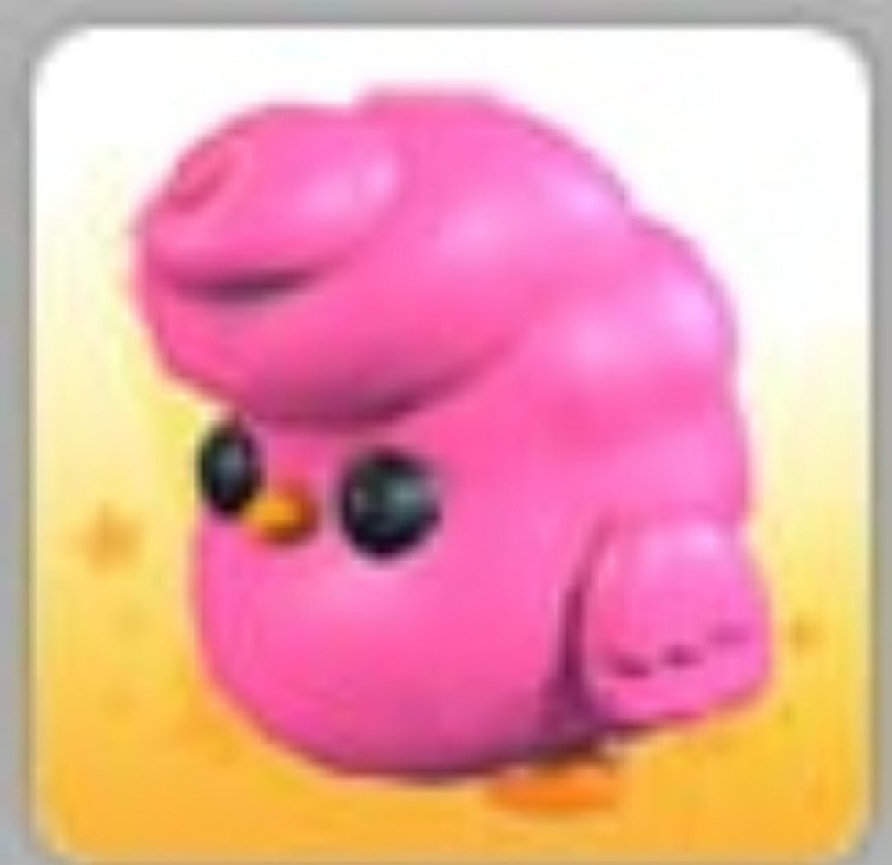 Candyfloss Chick | Adopt Now