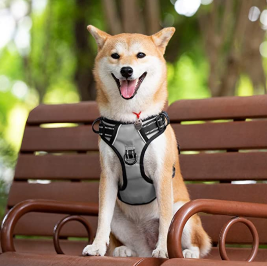 Dog Harness & Training Leash No Pull Control Adjustable Large Handle Heavy Duty