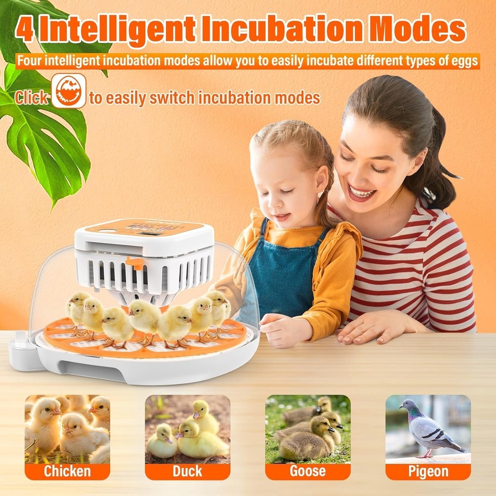 12 Egg Incubator with Auto Temp & Humidity Control