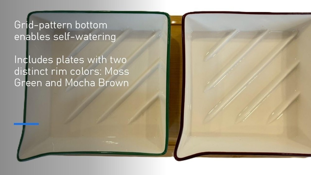 Microgreens Growing Kit. Easy-To-Use, Self-Watering. Includes Two Specially D...