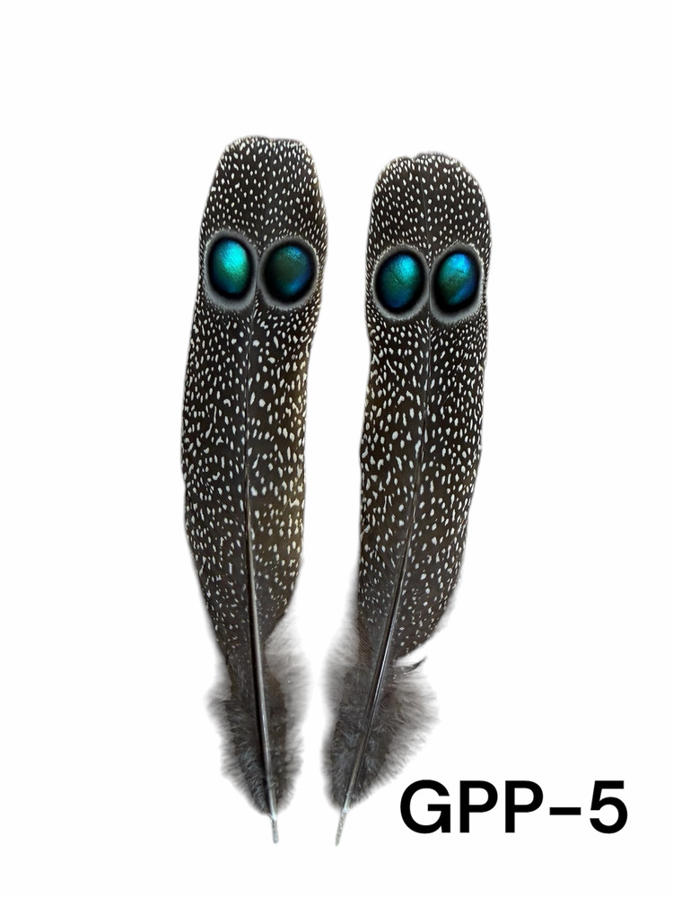 Grey Peacock Pheasant Pair set  (GPP-5)