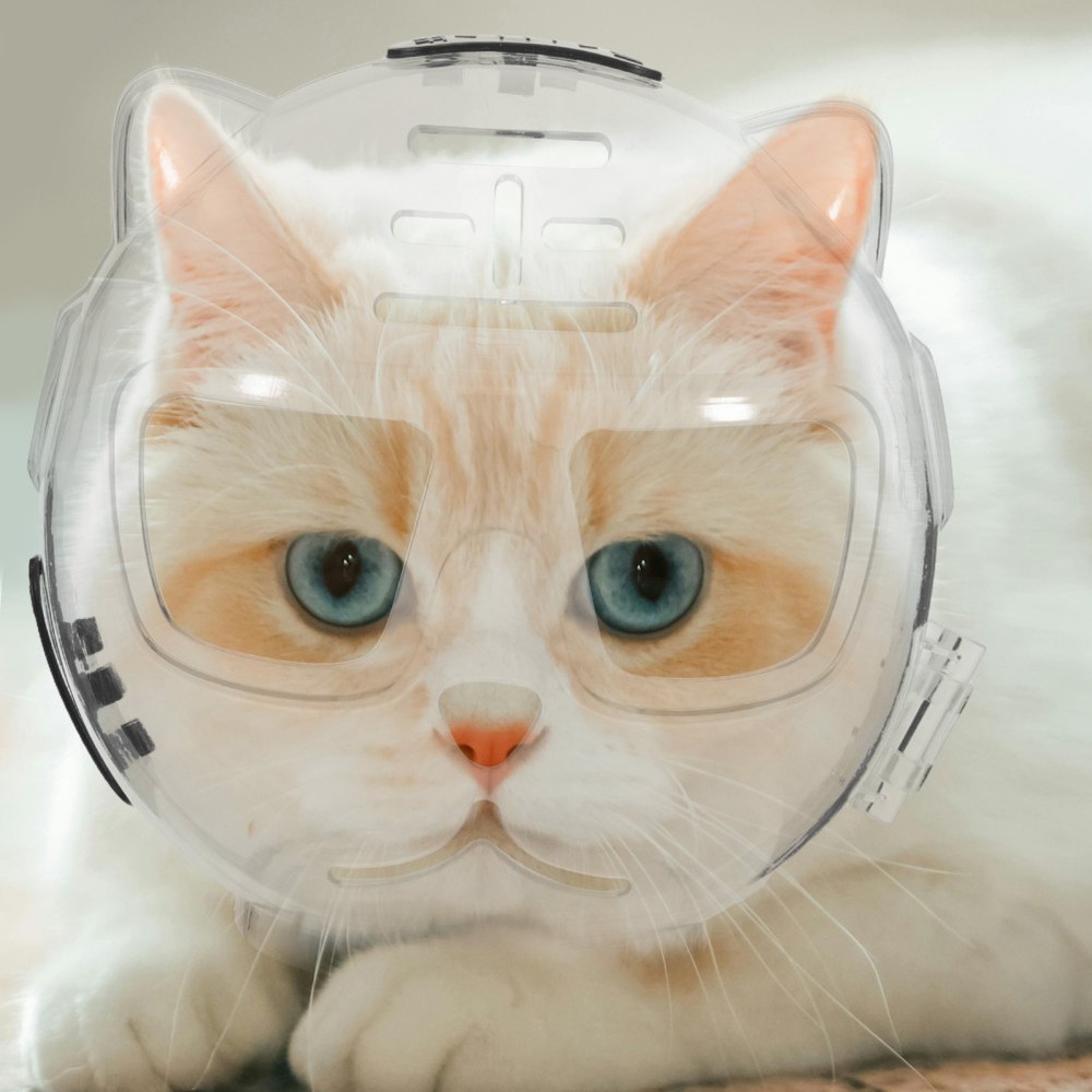 Cat Astronaut Costume Grooming Accessory Biting Prevention Muzzle
