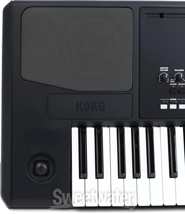 Korg Pa300 61-key Arranger Workstation