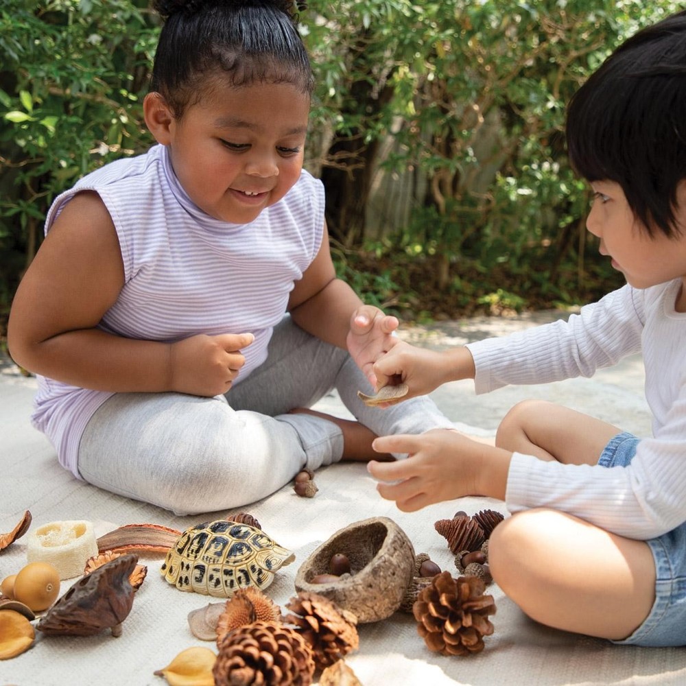 Kaplan Early Learning Nature's Geometry Loose Parts STEM Kit