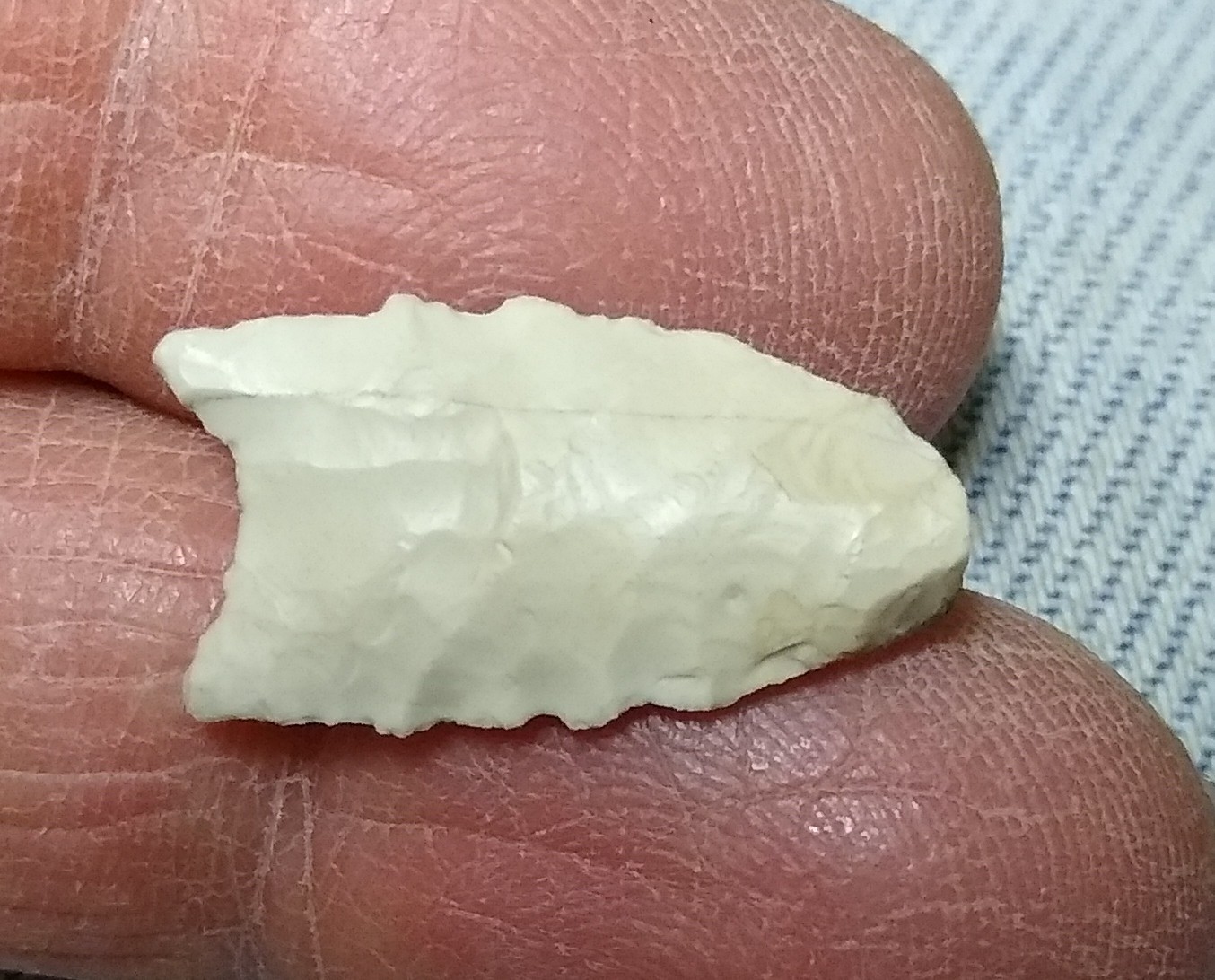 Small Paleo Point California