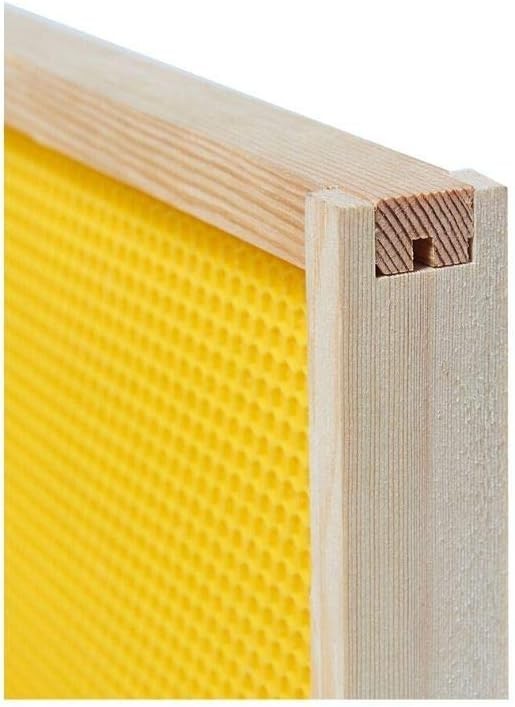 20 Pack Medium Super Beehive Frames with Wax Foundations Honey Bee Frames New
