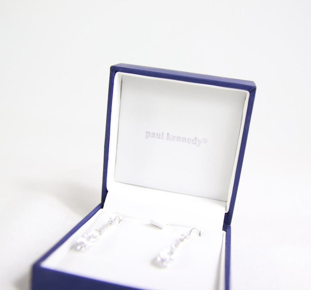 Paul Kennedy Silver Sparkle Dangle Earrings in Box