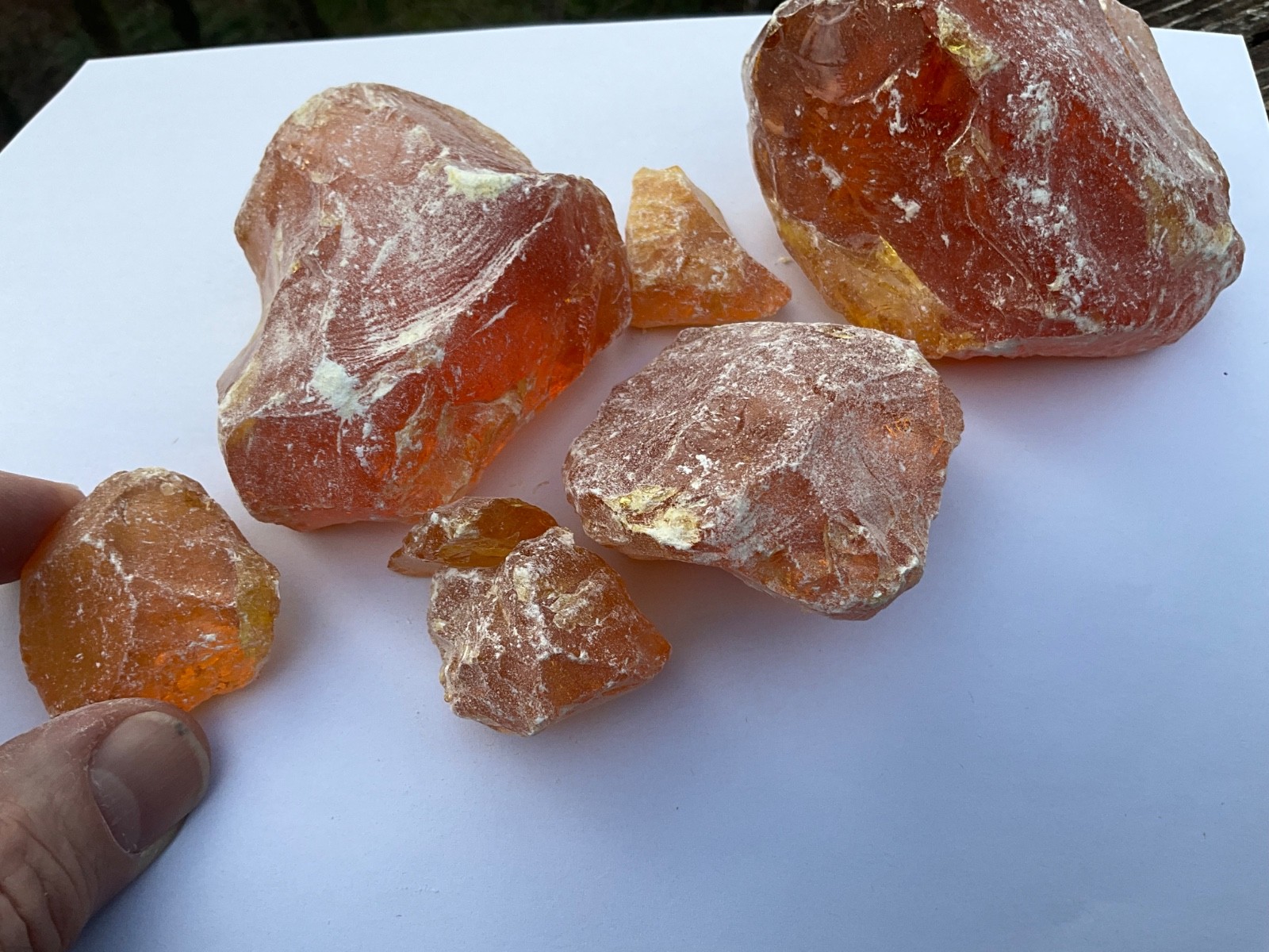 Pinyon Pine Pitch Glue Resin Rosin Amber Native American Crafts, sold by ounce