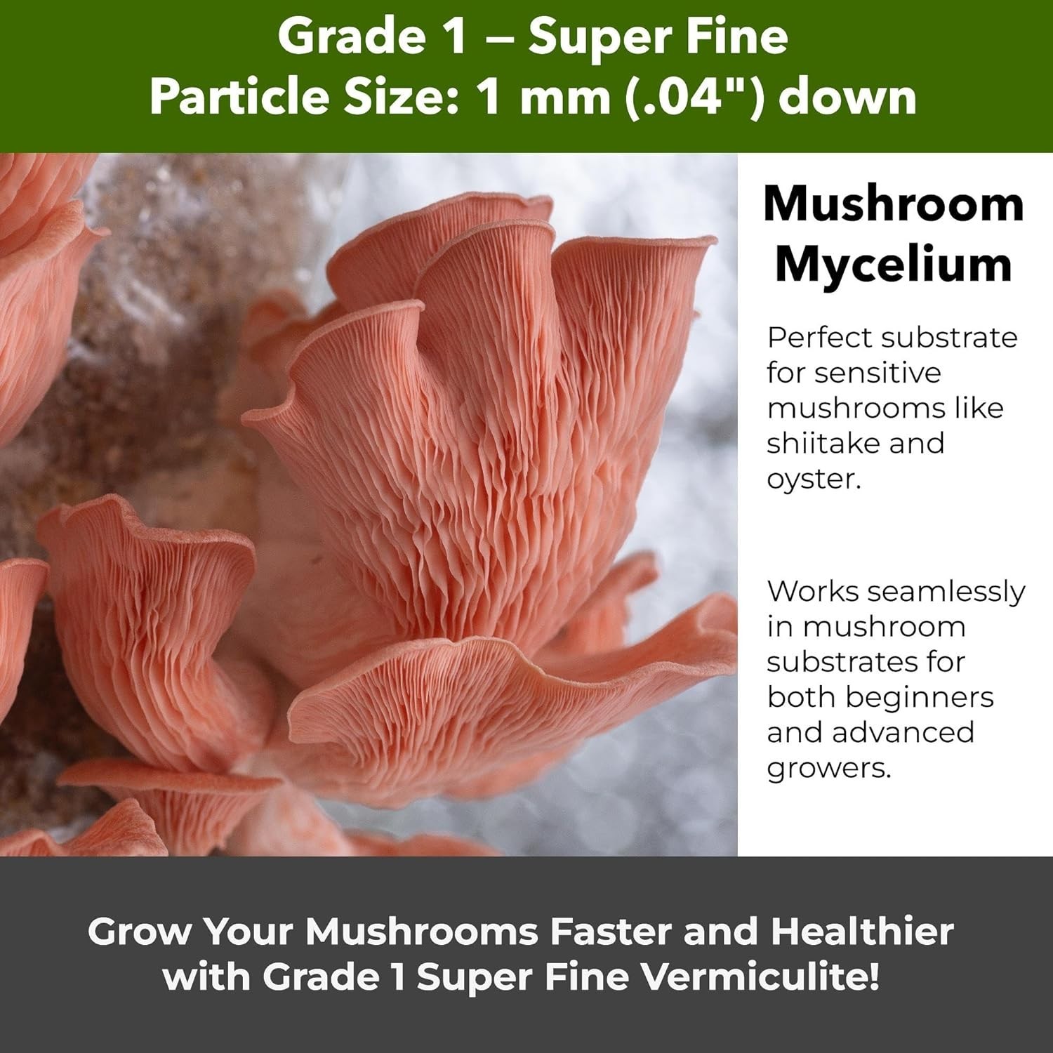 Organic Fine Vermiculite Grade 2 – Soil Aeration, Seed Starting & Mushroom Mix